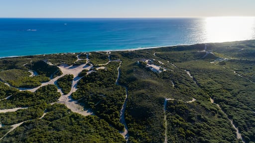 Aerial view of sandy beach with waves and trees. Sunny day in summer with transparent tropical blue water. Travel to Shorehaven Beach, Western Australia. Top view. Coastal, Seascape