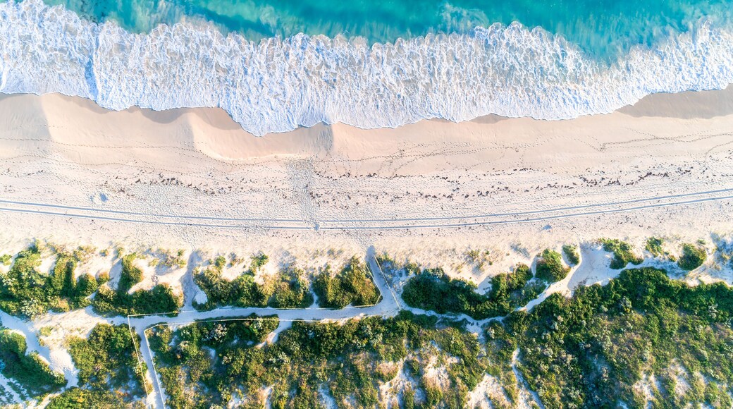 Aerial view of sandy beach with waves and trees. Sunny day in summer with transparent tropical blue water. Travel to Shorehaven Beach, Western Australia. Top view. Coastal, Seascape