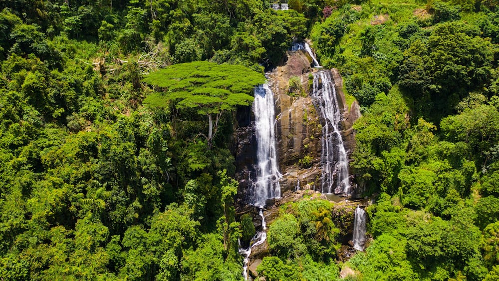 Waterfall in the green forest. Hunas Falls in the jungle. Hunnasgiriya, Sri Lanka.