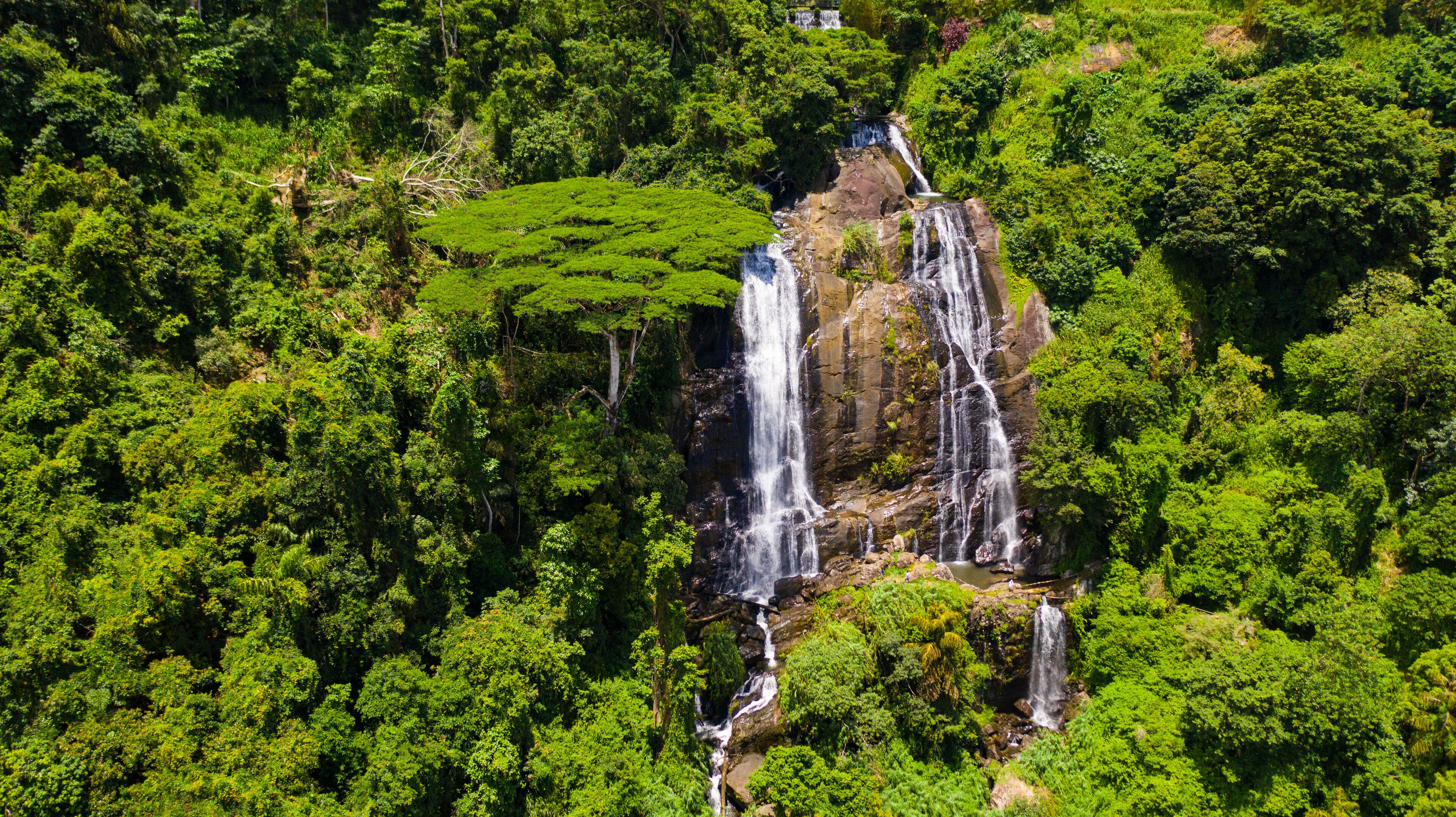 A waterfall cascading down a rocky cliff surrounded by dense green forest.