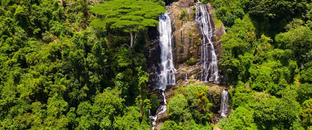 A waterfall cascading down a rocky cliff surrounded by dense green forest.