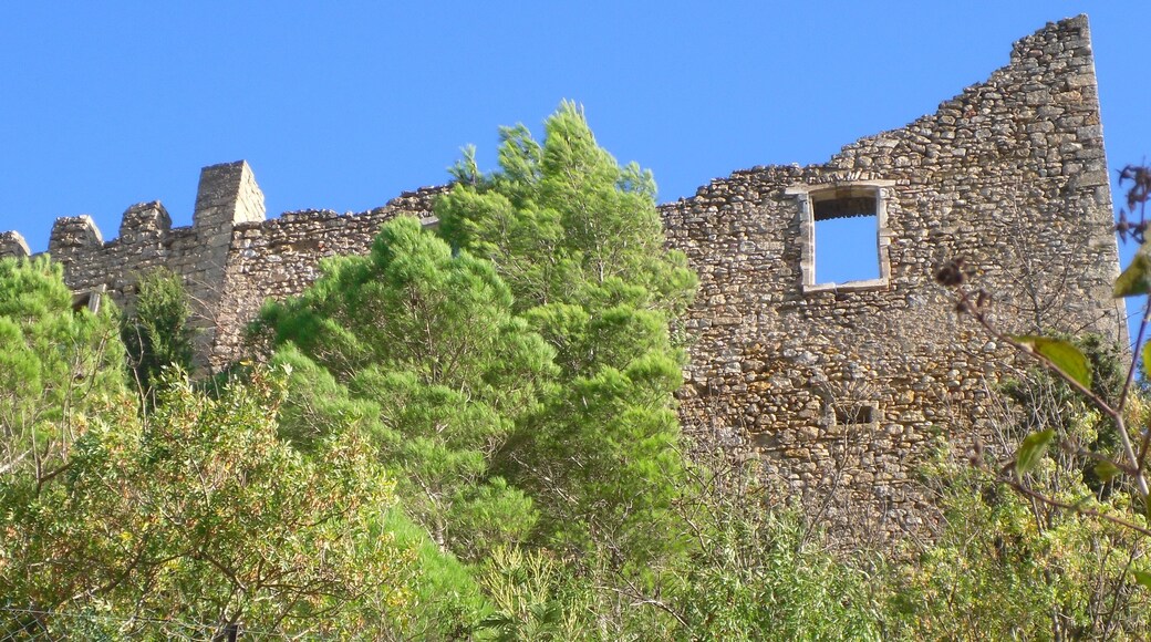 Chateau de Durban-Corbières (Aude)