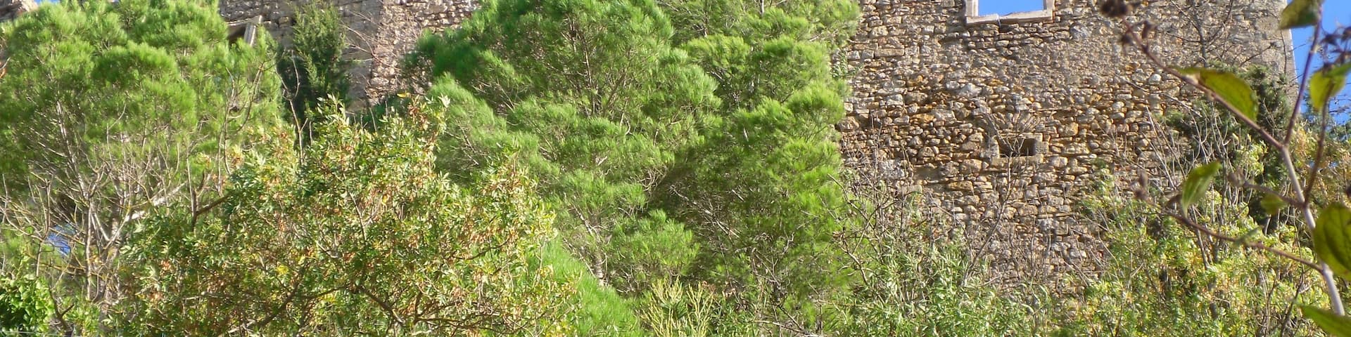 Chateau de Durban-Corbières (Aude)