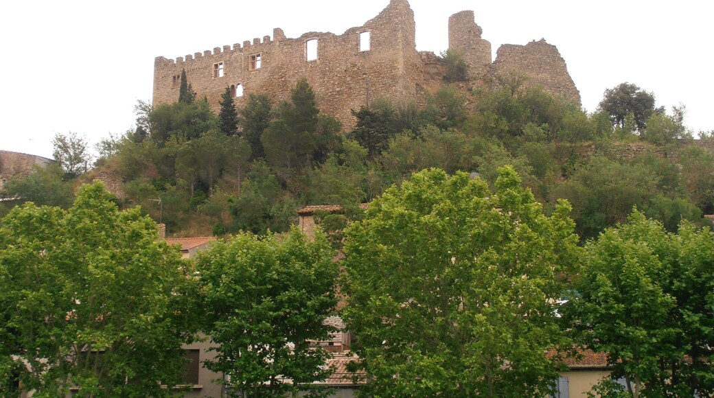 This building is indexed in the Base Mérimée, a database of architectural heritage maintained by the French Ministry of Culture, under the reference PA00102674 .