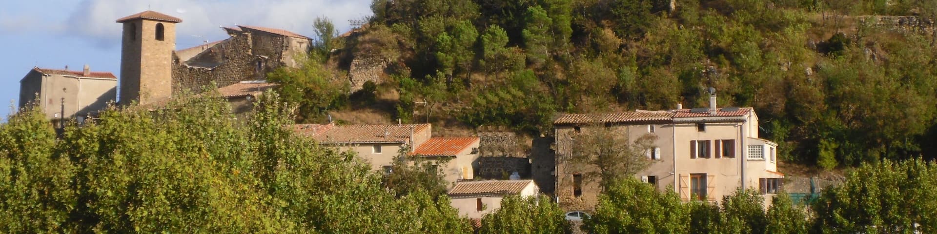 A historic castle on a hill with surrounding buildings and trees.