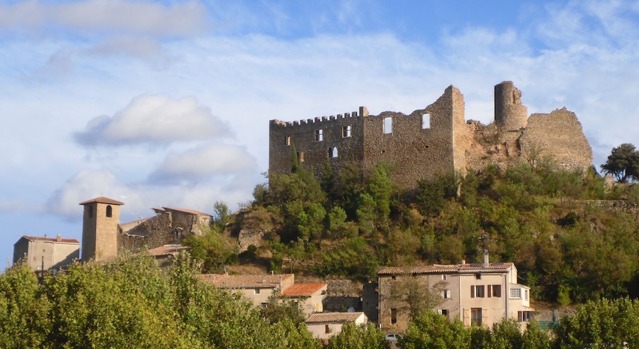 A historic castle on a hill with surrounding buildings and trees.