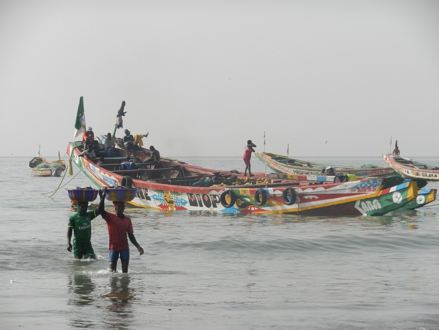Tanji Gambia landing the catch