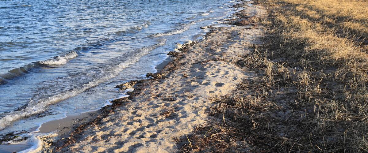 A sandy beach with gentle waves, a grassy area, and a distant tree line under a clear sky.
