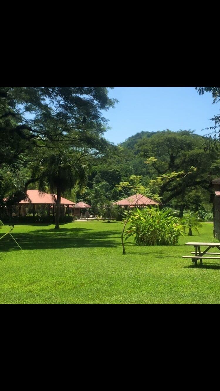 Yallas falls Jamaica ❤️