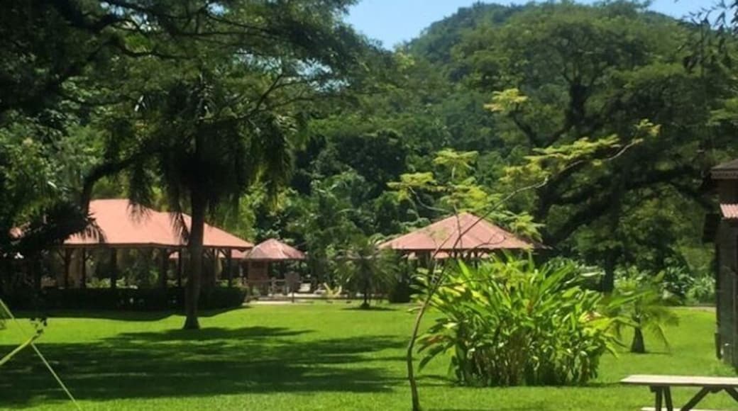 Yallas falls Jamaica ❤️