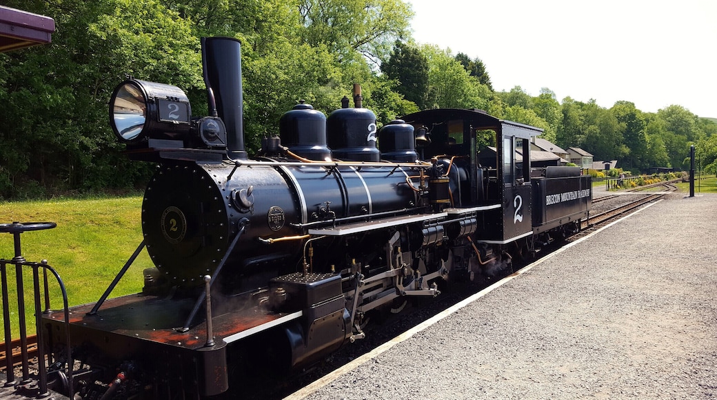 Brecon Mountain Railway.
Merthyr Tydfil, South Wales, UK
