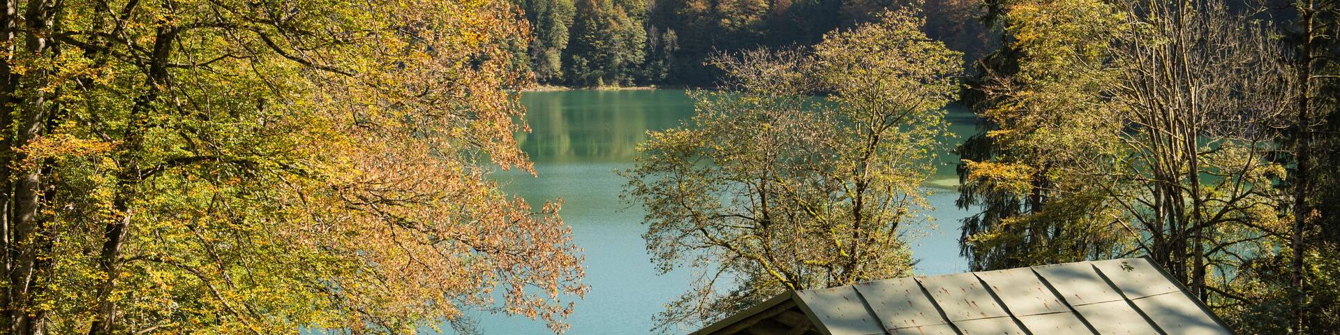 Idyllic cabin in fall at a turquoise lake in the mountains; Shutterstock ID 241257286; purchase_order: Comps; job: ; client: ; other:
