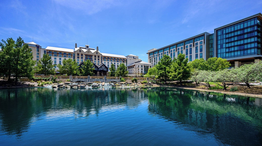 德克萨斯盖洛德会议中心