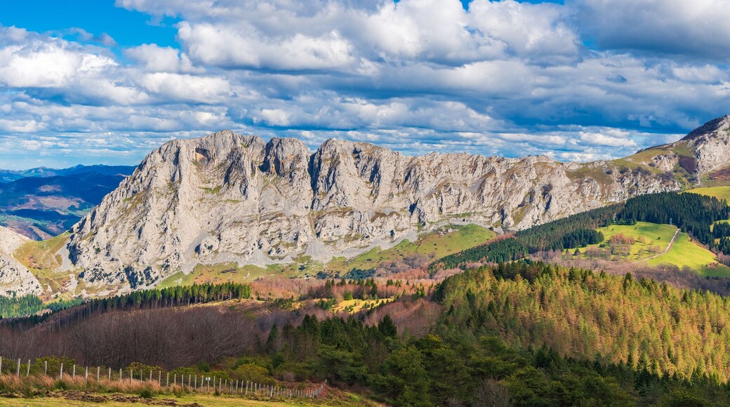 Cuadrilla de Gorbeialdea