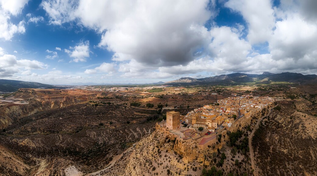 Vega Media del Segura