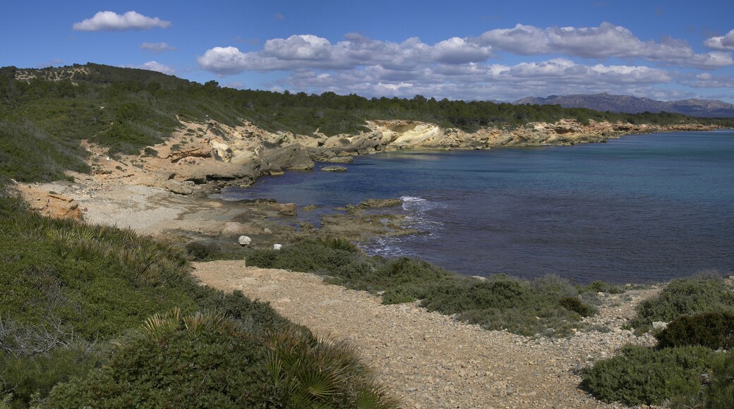 Bay north of Punto d'Áliga, Catalonia, Spain.