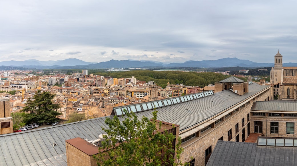 Paisagem urbana com edifícios históricos, uma igreja de destaque com um campanário e montanhas ao fundo.