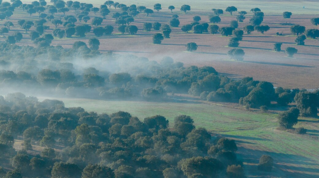Tierra de Peñaranda