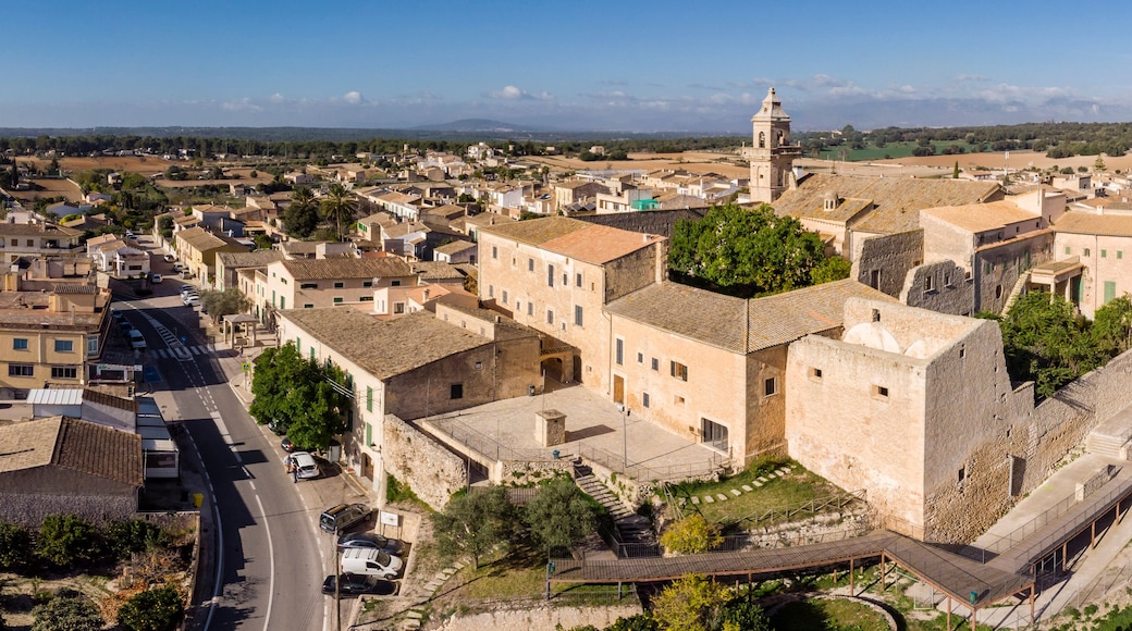 Un pueblo histórico con edificios de piedra antigua, una torre destacada y una vista despejada del campo circundante.