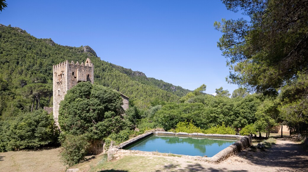 Ribera Alta