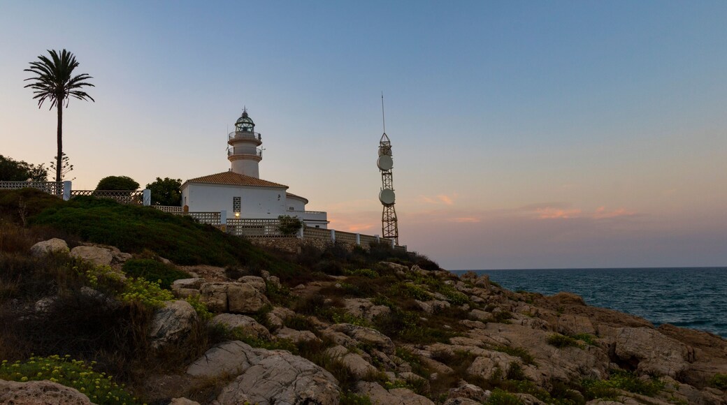 A coastal landscape with a lighthouse, rocky terrain, and a palm tree.