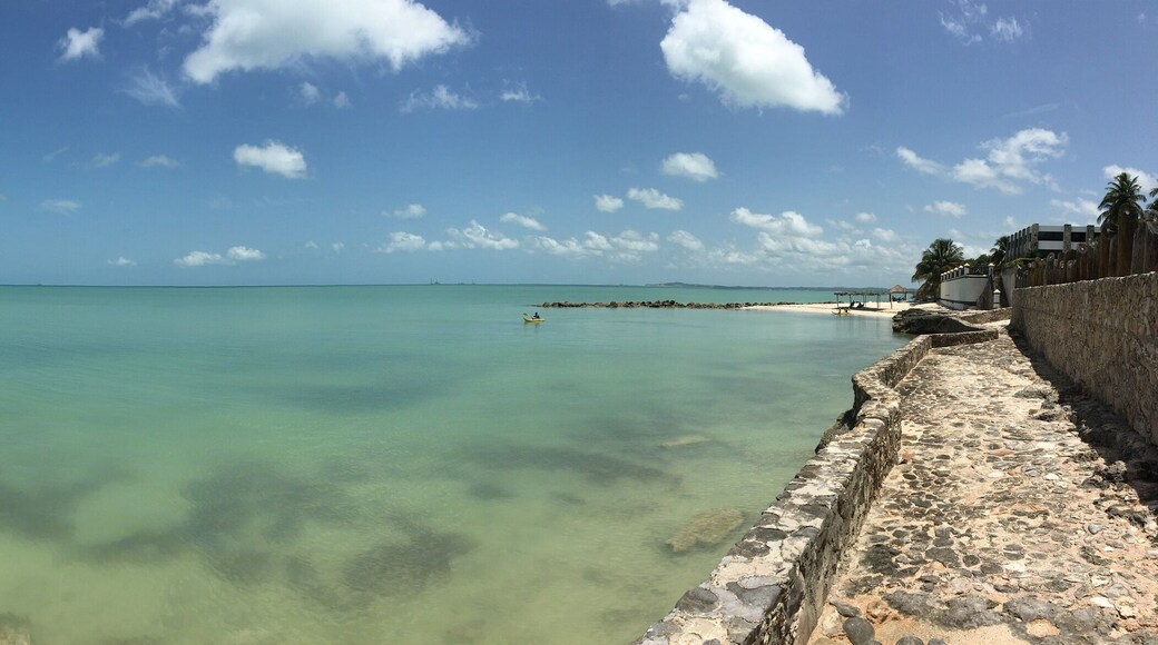 This is from a beachfront hotel, off the beaten path. Accessible from the Campeche, Mexico airport. Crystal clear water and fresh caught seafood make this region a hidden gem.
#lifeatexpedia
#mexico
#weloveourmarkets
#bvsblue