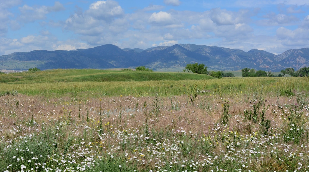 Parque Westminster City
