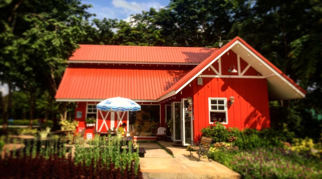 #colorful barn house