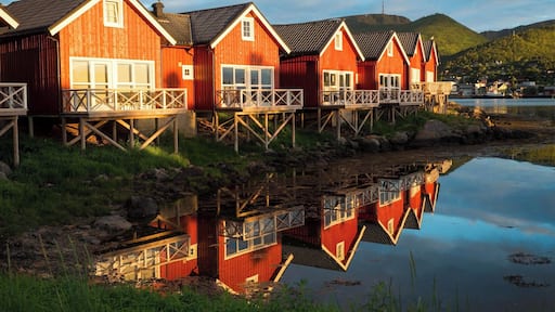 The great thing about visiting Northern Norway during the summer months is that you can experience the Midnight Sun. In Stokmarknes in July, the sun didn't "set" until midnight, and even then didn't fully dip below the horizon.
I caught this shot of the cabins at the Vesteralen Kysthotell during "golden hour," which really lasted way longer than an hour.