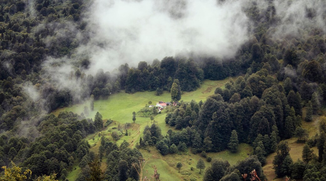 View of forest trees, mountain houses and beautiful nature in fog. The image is captured in Trabzon/Rize area of Black Sea region located at northeast of Turkey.