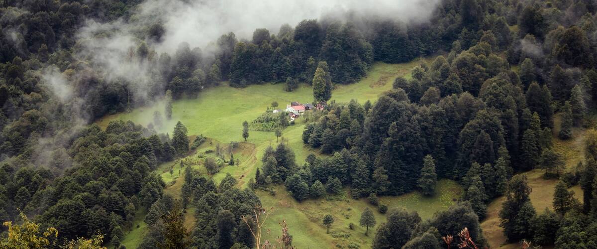 A forested valley with a small cluster of buildings surrounded by dense trees and mist.