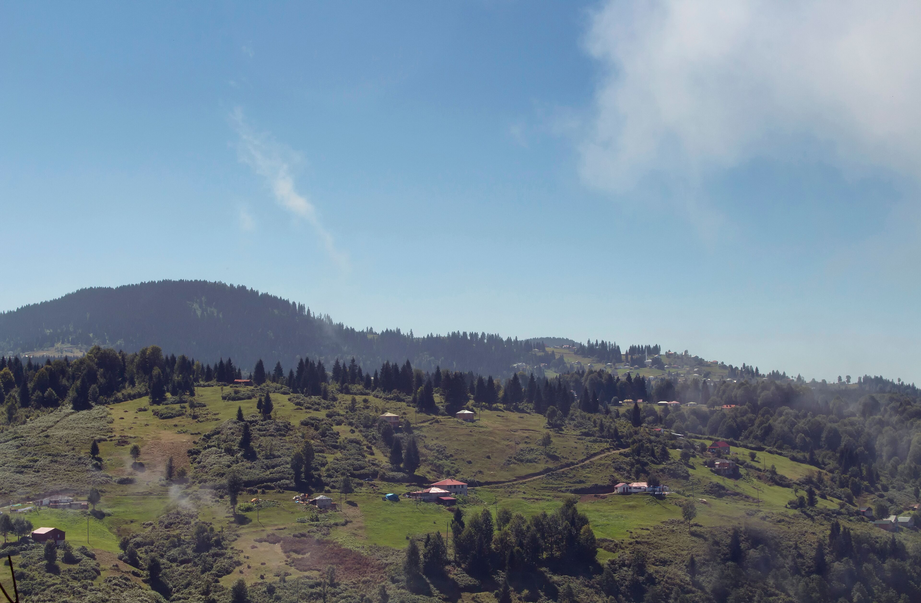 View of high plateau village, forest and mountain in fog creating beautiful nature scene. The image is captured in Trabzon/Rize area of Black Sea region located at northeast of Turkey.
