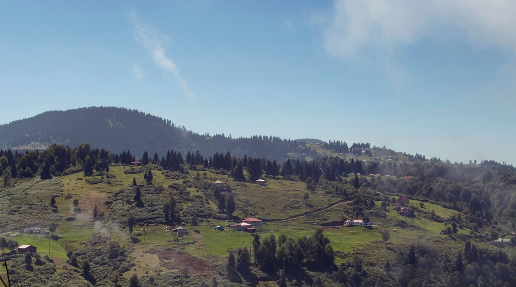View of high plateau village, forest and mountain in fog creating beautiful nature scene. The image is captured in Trabzon/Rize area of Black Sea region located at northeast of Turkey.
