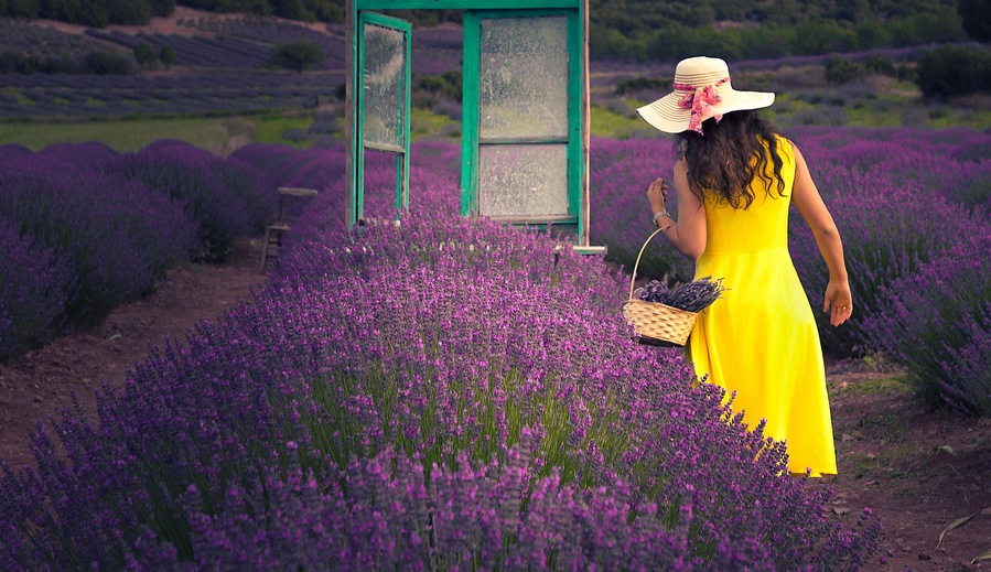 Kuyucak - Isparta N ever completely off the radar in recent years Kuyucak village with lavender fields of Provence to be playing in Turkey.