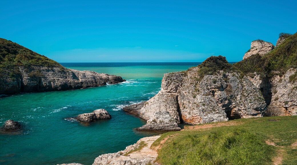 คิลิมลีโคฟ