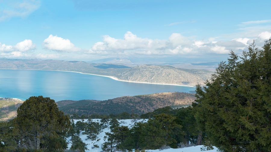 Saldan jÀrven puisto