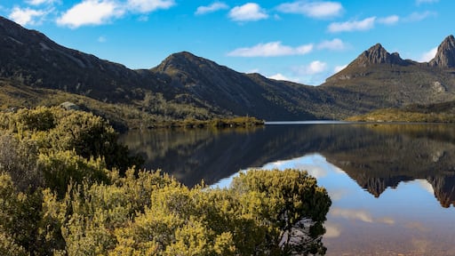 ويست أولفرستون