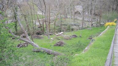 A forested area with a stone bridge and a wooden fence.