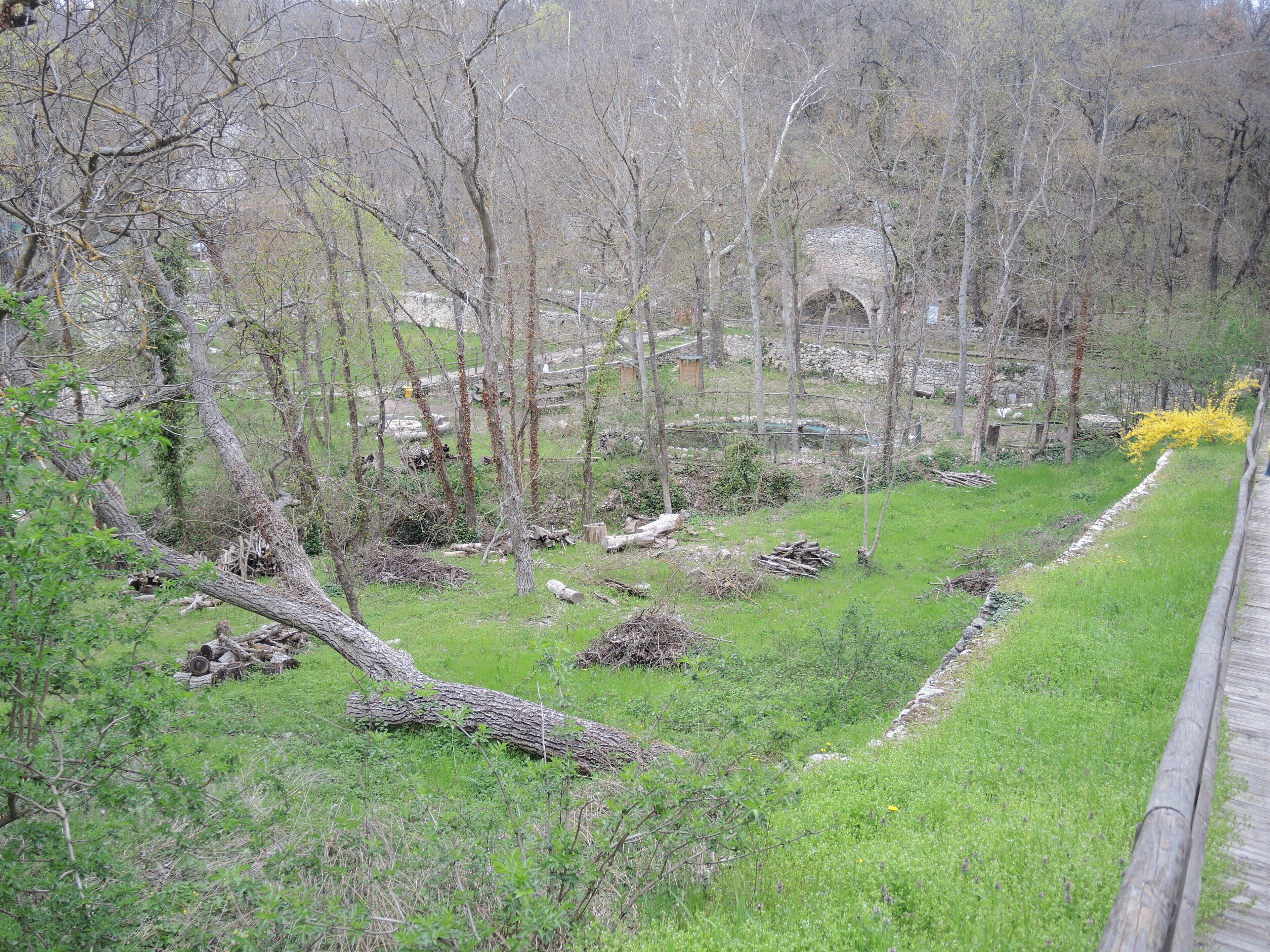 A forested area with a stone bridge and a wooden fence.