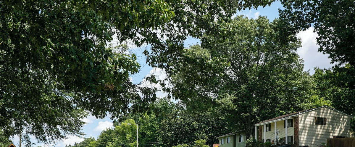 Memphis_Oakhaven_553248633967231766-1