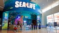 A SeaLife aquarium with a large sign, colorful marine life displays, and a stroller area.