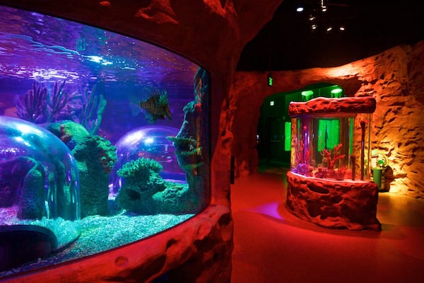 SEA LIFE Orlando Aquarium which includes interior views and marine life