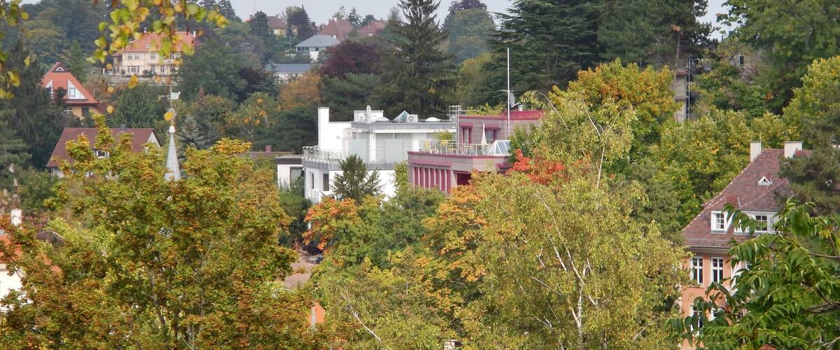 Häuser am Bopser in Stuttgart vom Teehaus aus gesehen