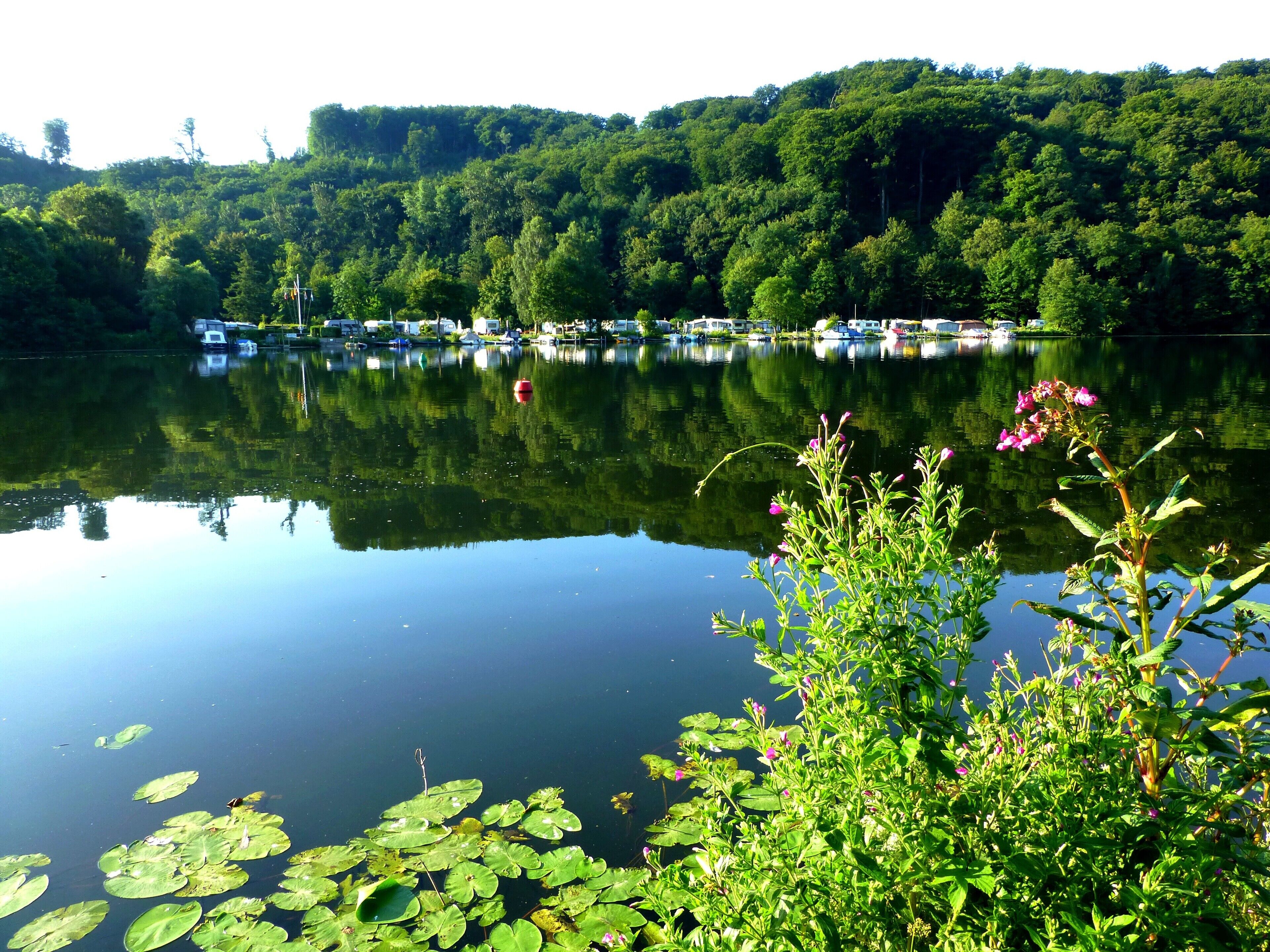Essen - Die Ruhr zwischen Kettwig und Werden