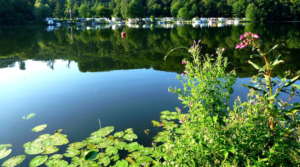 Essen - Die Ruhr zwischen Kettwig und Werden