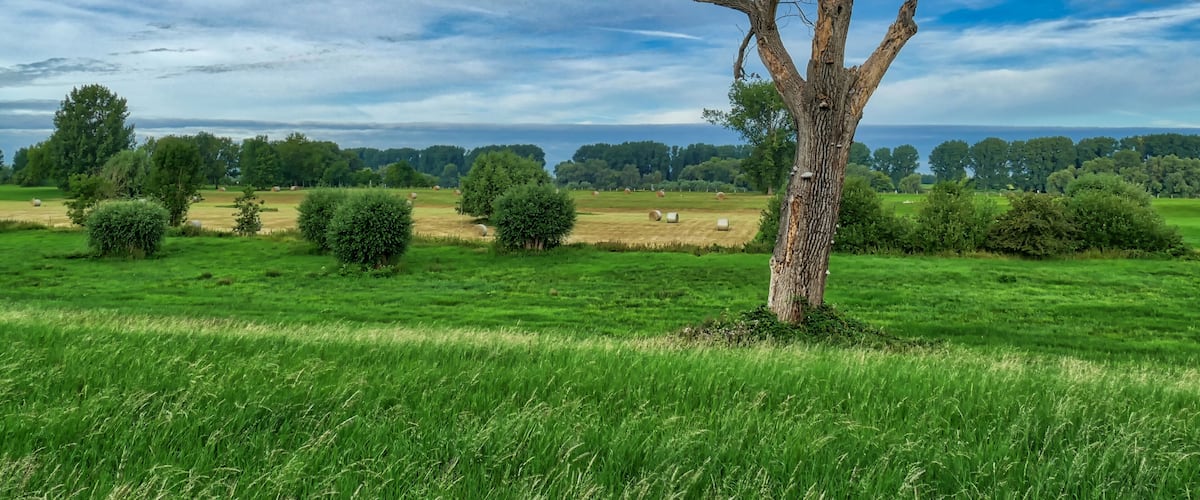 Felder und Wiesen am Rhein bei Düsseldorf Wittlaer