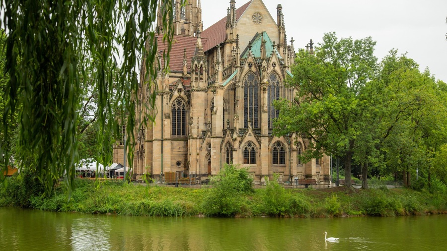 Stuttgart-West which includes a pond, a church or cathedral and bird life