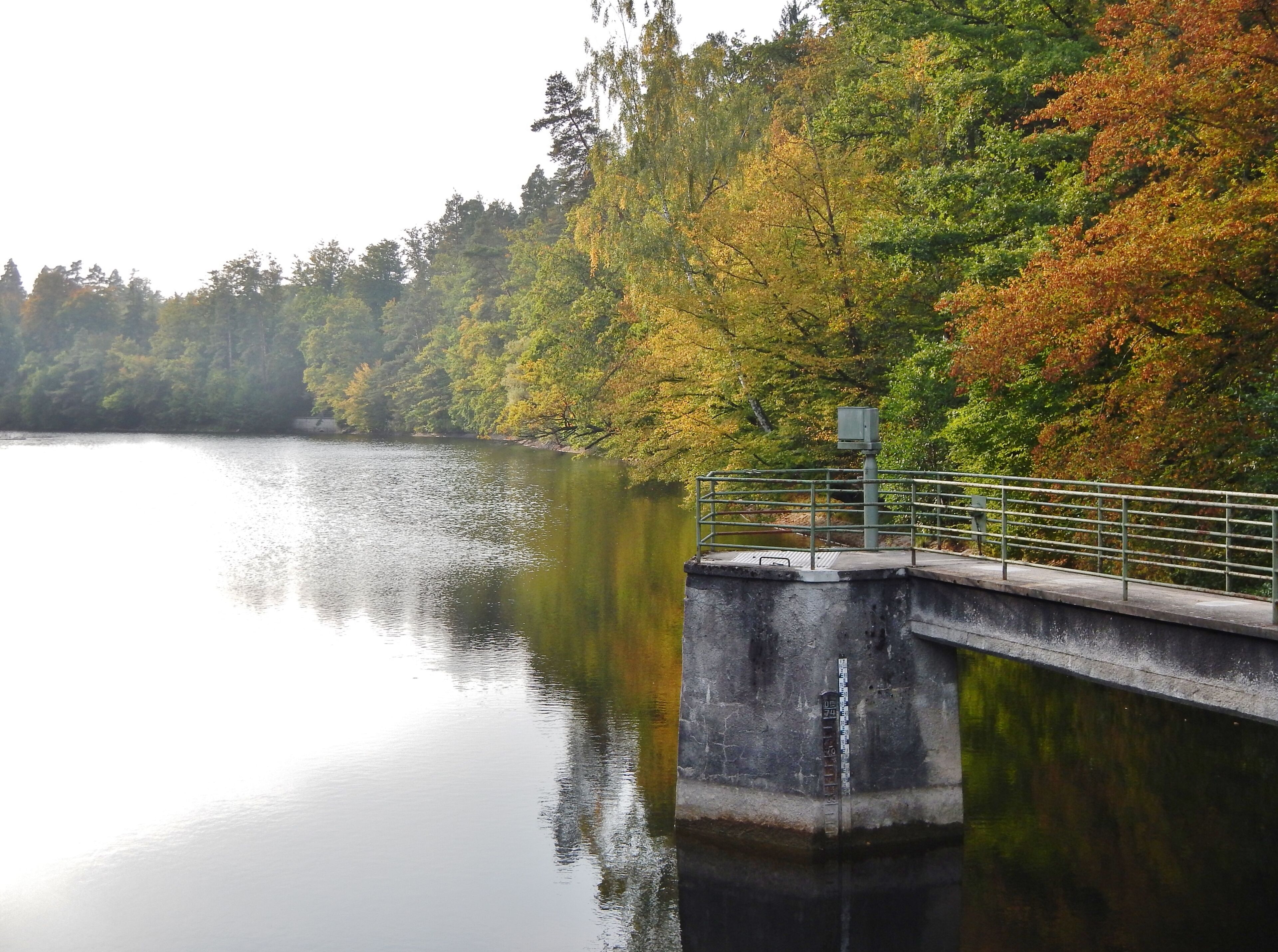 Neuer See im Wildpark in Stuttgart