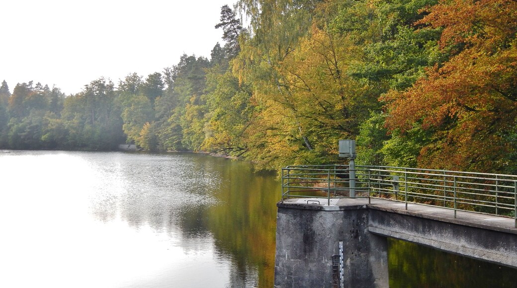 Neuer See im Wildpark in Stuttgart