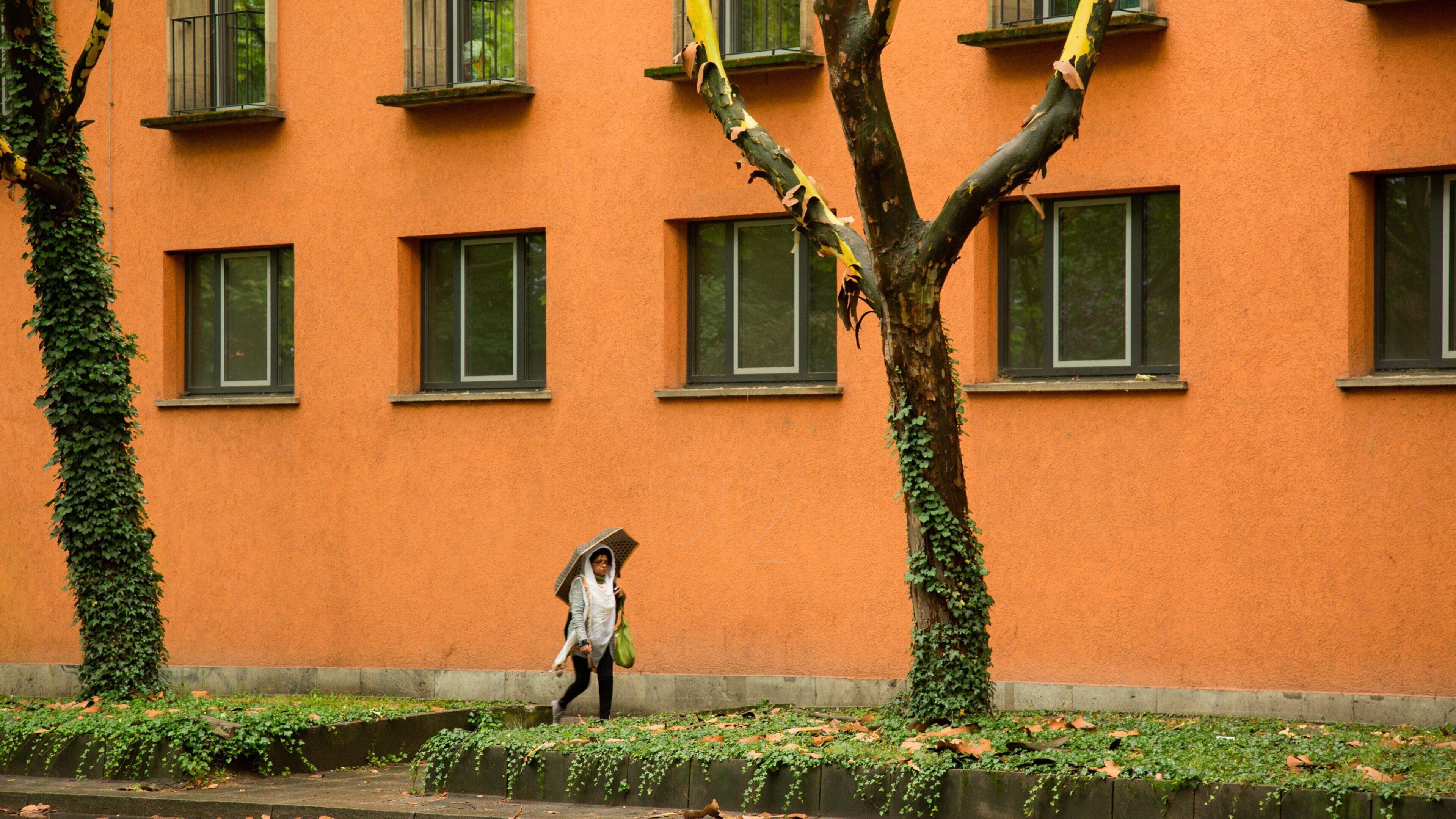 Stuttgart-West showing street scenes as well as an individual femail